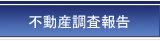 不動産調査報告